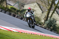 Oulton-Park-21st-March-2020;PJ-Motorsport-Photography-2020;anglesey;brands-hatch;cadwell-park;croft;donington-park;enduro-digital-images;event-digital-images;eventdigitalimages;mallory;no-limits;oulton-park;peter-wileman-photography;racing-digital-images;silverstone;snetterton;trackday-digital-images;trackday-photos;vmcc-banbury-run;welsh-2-day-enduro